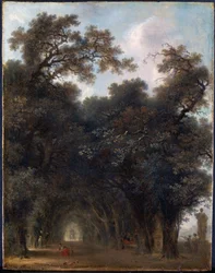 A Shaded Avenue